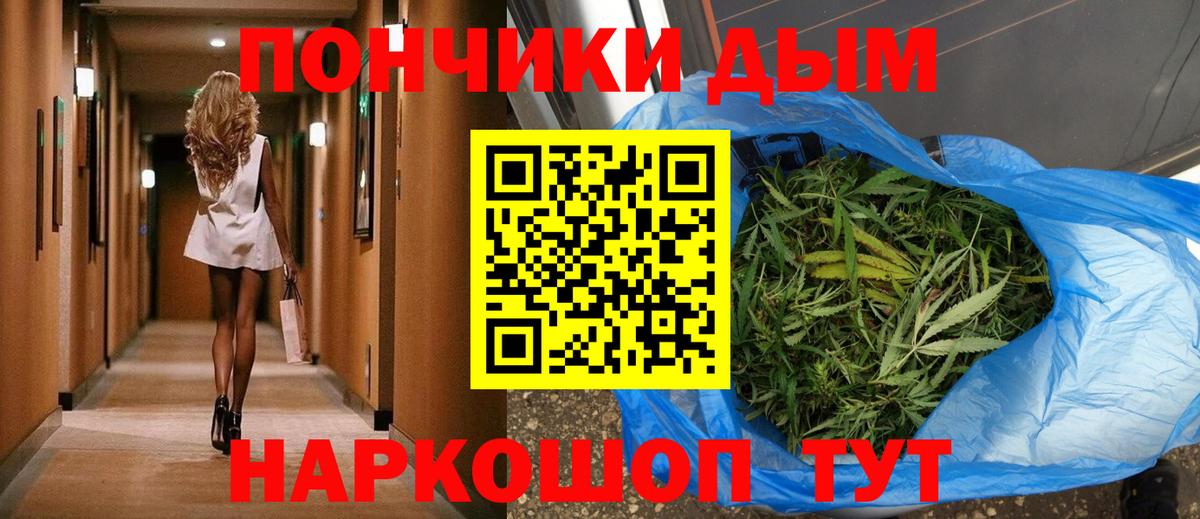 Шишки марихуана LSD WEED  МАРИХУАНА THC 21%  Вход с VPN  МАРИХУАНА план  Волхов  Каннабис сатива 
